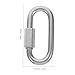 GANAZONO 10Pcs Heavy Duty Stainless Steel Quick Link Connectors D Shape Locking Carabiner for Industrial and DIY Use for Camping Outdoor Equipment and Chain Connection