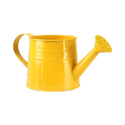 Petit arrosoir pour plantes d'intérieur 1 l - Arrosoir en métal - Petit arrosoir de jardin - Petits vases - Outil de jardin - Jaune