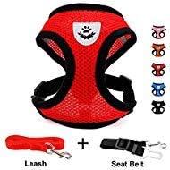 INVENHO Mesh Harness with Padded Vest for Puppy and Cats No Choke Design Ventilation Gift with One Leash & Seat Belt(Small,Red)