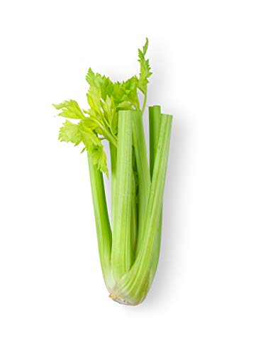100% Celery Whole Food – Our Celery Juice Powder is Made from one Ingredient only i.e. Celery Juice. Plant-Based, Non-GMO, Gluten-Free Naturally Powerful Whole Vegetable Powder