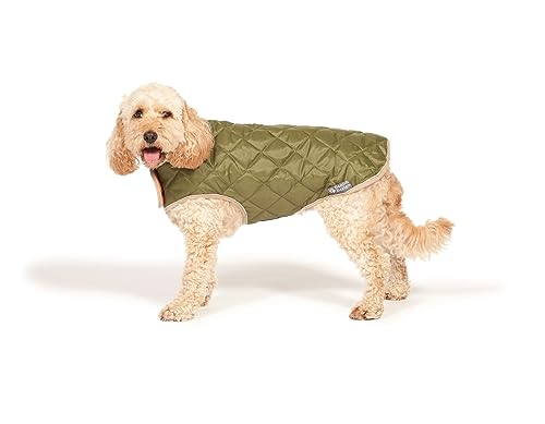 Danish Design Forest Green Diamond Quilt Shower Proof Thermal Lined Dog/Puppy Coat 10 Inch 25 cm, Forest Gren