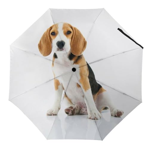 Parapluie pliant automatique avec motif oiseau chic et structure de voyage stable
