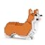 Welsh Corgi