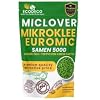 ECODECO Micro Clover Seeds 500 g - White Clover Seeds - Clover Lawn Seeds - Dwarf Clover for Even and Green Grass - Microclover for Grass Seeds - 400 m   with Grass or 200 m   Alone