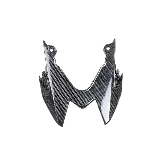 Carénage arrière S1000RR 2015 2017 2018 2019 couvercle feu carbone