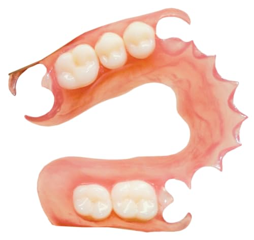 Image of Custom-Made Upper & Lower Flexible Partial Denture | Natural-Looking Teeth | Comfortable & Durable Pink Base | Dental Prosthetic for a Confident Smile