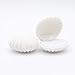 Boîte de Rangement Divers Simple Attrayant Forme Shell Boîte de Bague for Boucles d'oreilles Collier Bijoux Bracelet (2 PCS) (Color : White)