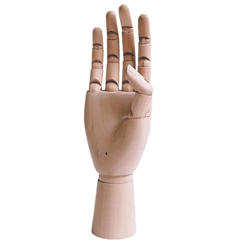 vfBXvCz_[_ȖؐnhflCA[gKc[WG[fBXvCƎʐ^BẽAj[VplCA[gKc[