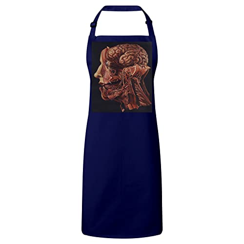 Tablier cuisine navy gravure médicale anatomie en coton premium