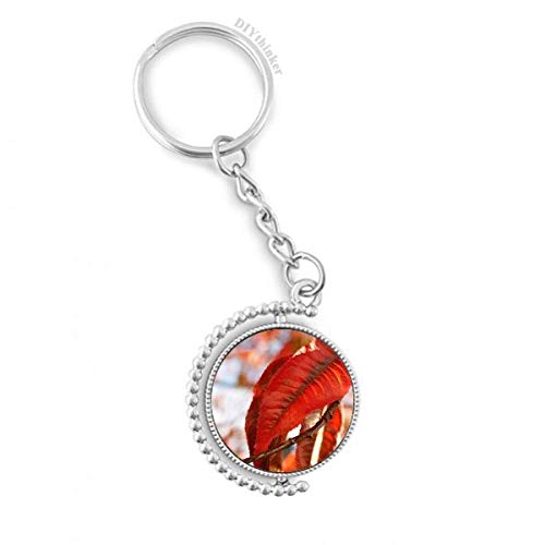 Porte-clé anneau feuille d'érable rouge rotatif multicolore keyholder photo plante