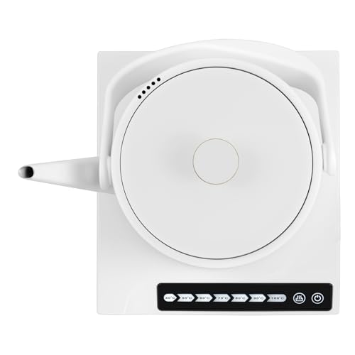 Bouilloire électrique variable Charlotte 0,6 L en acier inoxydable