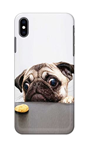 Image of PRINTFIDAA� Printed Hard Back Cover Case for Apple iPhone Xs Max Back Cover (Pug Dog) -2808
