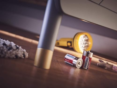 Pack de 2 piles Philips Power Alkaline D LR20 - vue 7