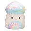 Tie-dye Mushroom