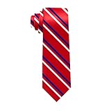 Red Striped Tie Blue and White Lines Necktie