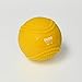 Dubs Baseball Plyo Ball Set with Seams