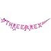 Pink Dionsaur 3rd Birthday Banner,Three Dinosaur Birthday Party Decorationsr,Pink Three Dino Rex Birthday Party Decorations,Dinosaur 3rd Birthday DÃ©corations