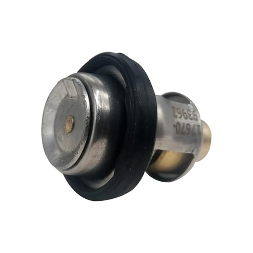 Thermostat moteur hors-bord Suzuki pour naviguer en mer en toute sécurité en famille