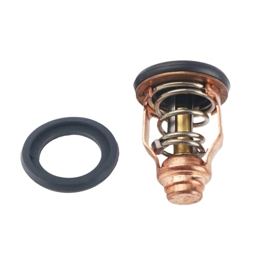 Thermostat Moteur Suzuki DF 115 140 200 Pièce Hors-Bord