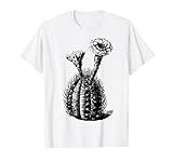 A tus amigos y familiares les encantará este hermoso gráfico de cactus