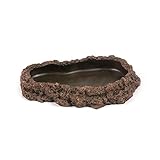 Terratlantis TD Dark Feeder 20Cm