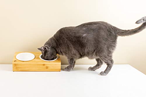 Elevated Bamboo Pet Table with Ceramic Bowls Raised Anti-Slip Tilted Station for Cats Dogs Food/Drink Water-Resistant… - Image 5