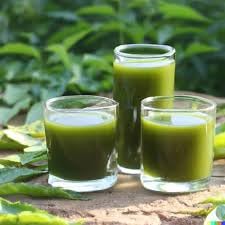 Srihari Peepal Neem Leaf Juice, Natural Liquid Form with Aloe Vera, 900 ml, Pack of 2, Herbal Supplement for Adults-image-48