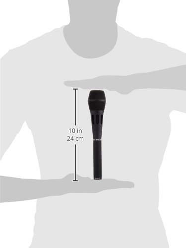 即日配送】EARTHWORKS SR20 コンデンサーマイク EarthWorks(アース