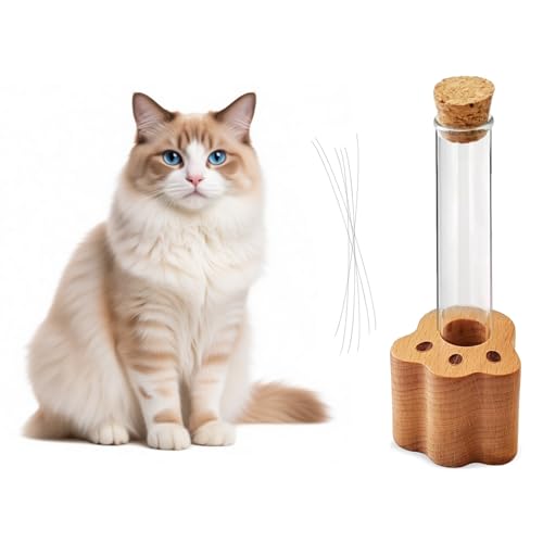 DegoCyhton Cat Whisker Holder Wooden Clear Glass Jar Sealed Cork Memorial Vase Premium Cat Fur Keepsake Desktop Display Decor Accent Home Decor for Feline Owners Thoughtful Pet Lover Gift