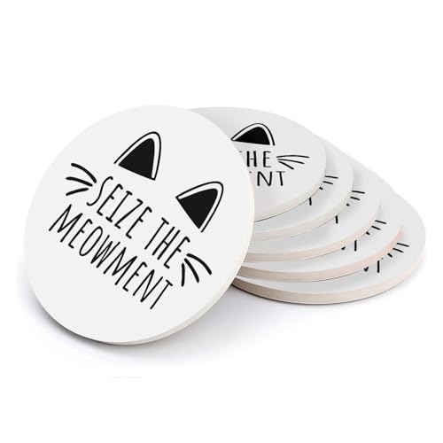 Sous-verre ronds en céramique cadeau idéal pour amoureux des chats