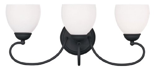 Livex Lighting 4753-04 Brookside 3-Light Bath Light, Black
