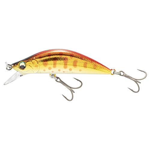 Major Craft Lure, Fine Tail Eden (Simmy Fall), 2.0 inches (50 mm), Akakin Yamame #10 EDN-50S
