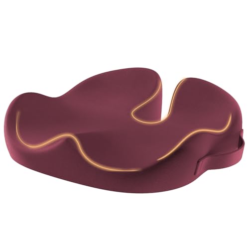 ProtoArc �֎q�N�b�V���� �ᔽ�� �����ԍ���� ���K�ȍ���S�n �l�ԍH�w ���͕��U ���K�ɗD�����N�b�V���� ��/����/�I�t�B�X�`�F�A�p�p�b�h ���z�c �J�o�[���O���� (JP, �t���[�V���E���b�h, �W��)