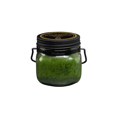 Image of McCall's Candles | Mint Citronella | 16 oz Two-Wick Scented Candle | USA-Poured | Vintage Mason Jar with Carrying Handle | Outdoor Patio Candle with Cool Mint & Peppermint