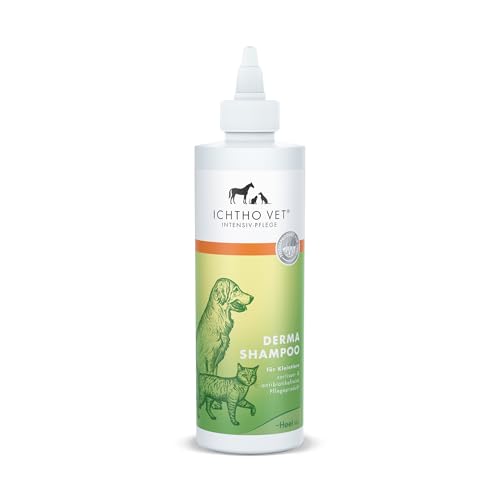 ICHTHO Vet Derma Shampoo für Hunde und Katzen für die sanfte Pflege und Reinigung bei Juckreiz und strapazierter Haut, 250 ml – sehr gut verträglich | Made IN Germany ICHTHO Vet Derma Shampoo für Hunde und Katzen für die sanfte Pflege und Reinigung bei Juckreiz und strapazierter Haut, 250 ml – sehr gut verträglich | Made IN Germany