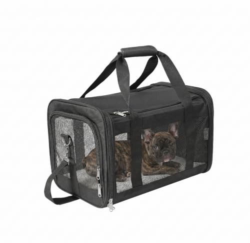 REQUISITE NEEDS Pet Carrier Soft-Sided Foldable Travel Bag Airline Approved Large Size for Cats and Dogs up to 17 lbs Black with Shoulder Strap and Removable Mat