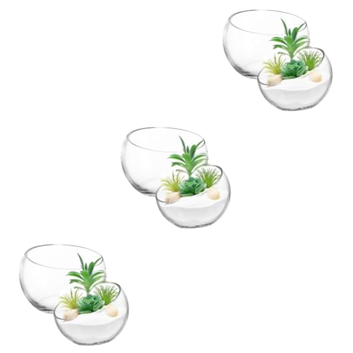 Pots de fleurs transparents pour verdir votre salon avec style - 2