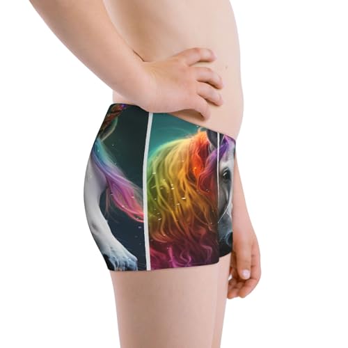 Boys' Cotton Boxer Brief Soft Underwear-Colorful Haired White Horse2