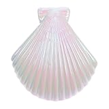 CLISPEED Pinzas para Toallas de Playa Forma de Concha, Clips a Prueba de Viento, Plástico Resistente, Diseño Antideslizante, Sujetador para Sillas y Toallas, Accesorio Portátil para Uso