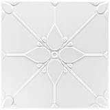 Techo planchas Nº 34, color blanco, dimensiones 1 bandeja de 50 x 50 cm, grosor de la placa 4 – 10 mm (dependiendo del patrón).