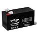 ExpertPower EXP1213-1.3Ah 12V Battery Rechargeable SLA AGM with F1 Terminals, Sealed Lead Acid Small 12 Volt Battery Replacement Backup for Auxiliary, Mower, UPS, Alarm Batteries