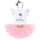 Cake Smash 1st 2nd 3rd Birthday Girl Princess Outfit Mouse Polka Dots Dress Ruffle Tulle Tutu Skirt Set Wild ONE Party Dance Fancy Carnival Costume Dress Up Clothing Pink-3rd 3T