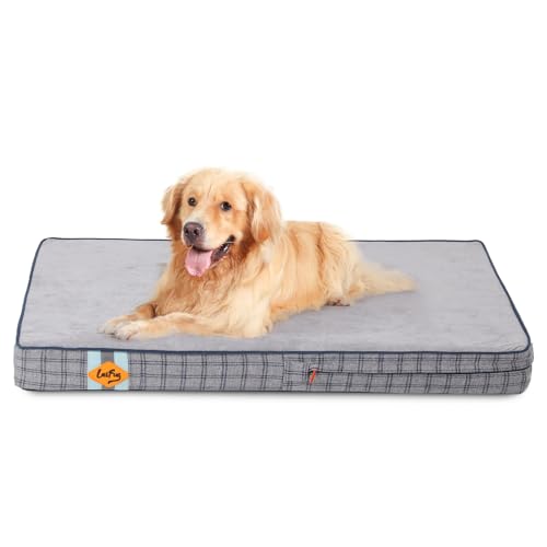 Laifug Orthopedic Memory Foam Pet(40"x 25"x 4",Black)/Dog Bed with Durable Waterproof Liner and Removable Washable Cover 40.0"L x 25.0"W x 4.0"Th Black