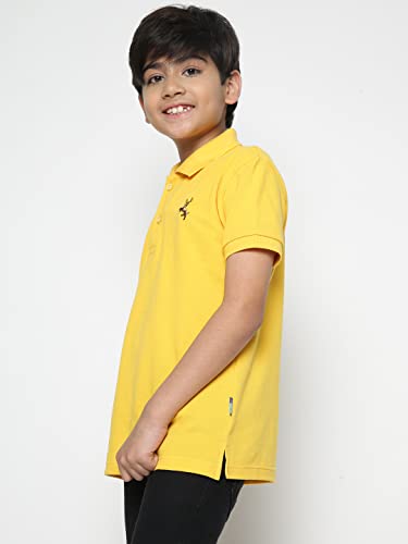 Image of Li'l Tomatoes Boys Pique Cotton Polo T-Shirt | Classic Collar & Button Placket | Soft & Breathable Summer Wear | Casual Comfort | 3-16 Years