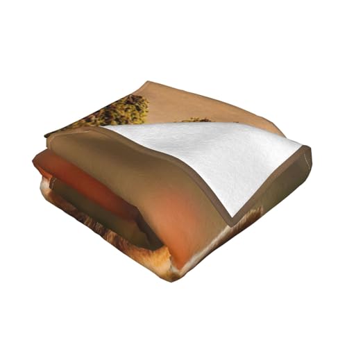 Couverture en flanelle douce imprimé bébé renard plaid lit