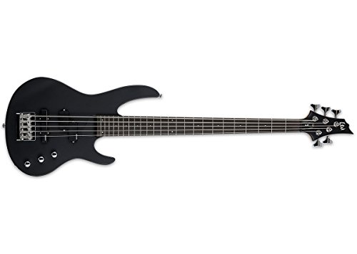 ESP LTD B-15 5-String Bass Guitar Kit - Want It All