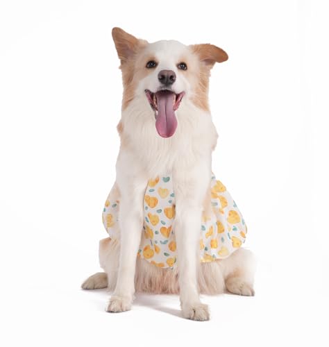 Robe de princesse pour chien en coton de qualité supérieure taille 4XL - 5