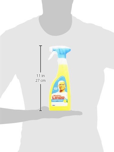 Mastro Lindo Detergente Spray Multiuso Limone 500