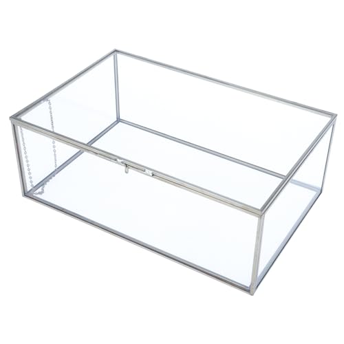 HighFree Vintage Glass Box with Lid - Clear Jewelry Glass Display Box Keepsake Box - Home Decor Decorative Box for Trinket Rings Bracelet (Silver, Large)