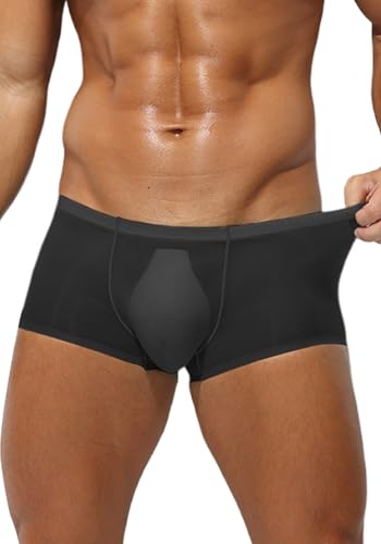 SEAUR Men's Ice Silk Boxer Briefs Ultra-Thin Sheer Panties Mesh See Through Seamless Low Rise Underwear